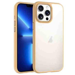For iPhone 13 Pro Phantom Frosted Airbag Shockproof Transparent Phone Case(Yellow)