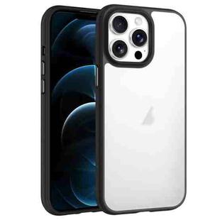 For iPhone 12 Pro Max Phantom Frosted Airbag Shockproof Transparent Phone Case(Black)