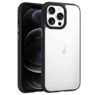 For iPhone 12 Pro Phantom Frosted Airbag Shockproof Transparent Phone Case(Black)