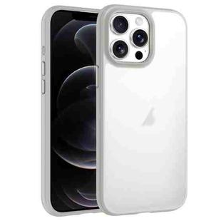 For iPhone 12 Pro Phantom Frosted Airbag Shockproof Transparent Phone Case(Grey)