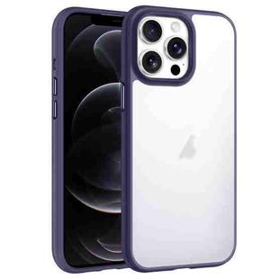 For iPhone 12 Pro Phantom Frosted Airbag Shockproof Transparent Phone Case(Purple)