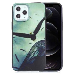 For iPhone 12 / 12 Pro Painted Pattern Soft TPU Case(Eagle)