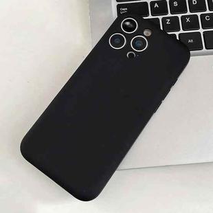 For iPhone 13 Pro Max Fine Hole Insert Card Slot TPU Phone Case(Black)