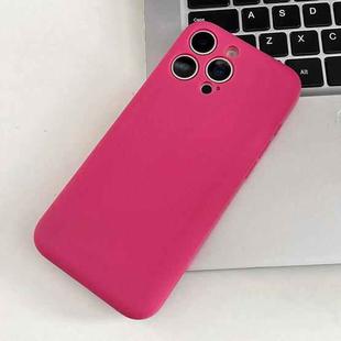 For iPhone 12 Pro Fine Hole Insert Card Slot TPU Phone Case(Rose Red)