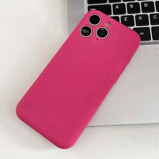 For iPhone 11 Pro Max Fine Hole Insert Card Slot TPU Phone Case(Rose Red)