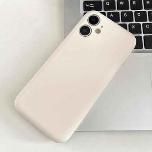 For iPhone 11 Fine Hole Insert Card Slot TPU Phone Case(White)