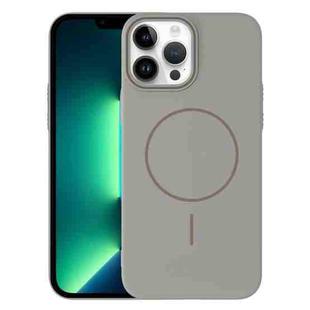 For iPhone 13 Pro Max Thin Circle PC Injection MagSafe Phone Case(Titanium Gray)