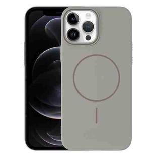 For iPhone 12 Pro Thin Circle PC Injection MagSafe Phone Case(Titanium Gray)