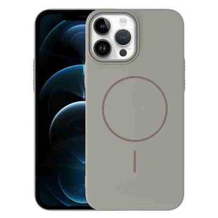 For iPhone 12 Pro Max Thin Circle PC Injection MagSafe Phone Case(Titanium Gray)