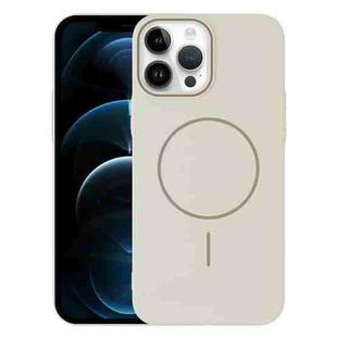 For iPhone 12 Pro Max Thin Circle PC Injection MagSafe Phone Case(Rock Beige)