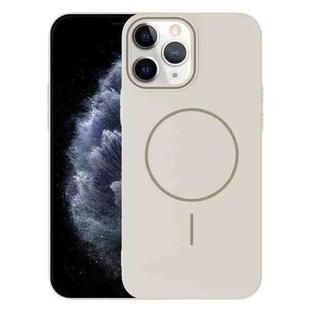 For iPhone 11 Pro Max Thin Circle PC Injection MagSafe Phone Case(Rock Beige)
