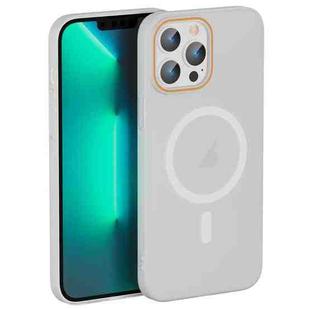 For iPhone 13 Pro Max Translucent Frosted Skin PC MagSafe Phone Case(White)
