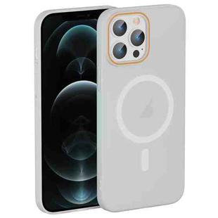For iPhone 12 Pro Max Translucent Frosted Skin PC MagSafe Phone Case(White)