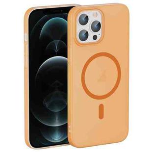 For iPhone 12 Pro Max Translucent Frosted Skin PC MagSafe Phone Case(Orange)