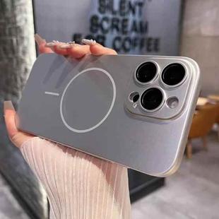 For iPhone 16 Pro Matte Frosted Fine Circle MagSafe Lens Protection Phone Case(Star Silver)