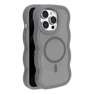For iPhone 12 Pro Max Skin Feel MagSafe Phone Case(Grey)