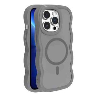 For iPhone 13 Pro Skin Feel MagSafe Phone Case(Grey)