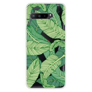 For Asus ROG Phone 3 ZS661KS Shockproof Painted Transparent TPU Protective Case(Banana Leaf)