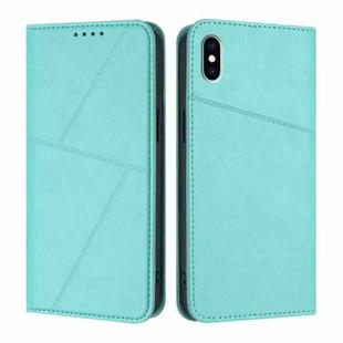 For iPhone XS Max Strong Magnetic Frosted Flip Leather Phone Case(Light Blue)