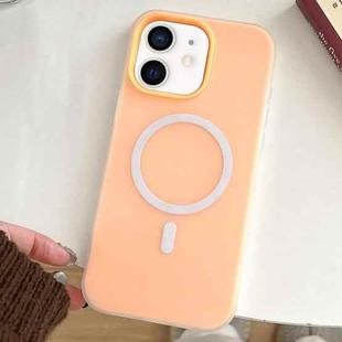 For iPhone 11 Skin Feel MagSafe Magnetic PC Hybrid TPU Phone Case(Orange)