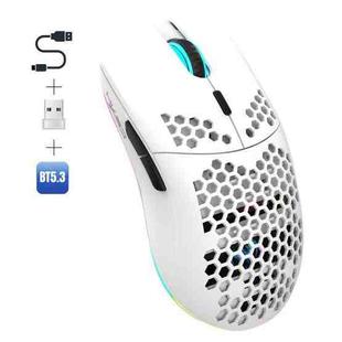 HXSJ T66 3 Modes Wired 2.4G BT5.3 Wireless RGB Rechargeable Mouse(White)