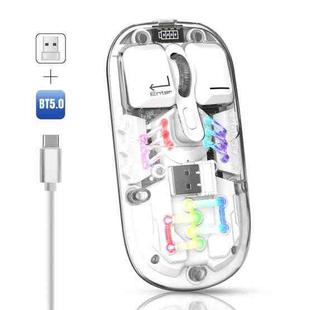 HXSJ T200 Dual Modes 2.4G BT5.0 Transparent RGB Wireless Mouse(White)