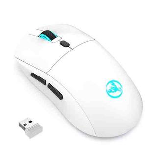 HXSJ T20 2.4GHz Rechargeable Wireless Mouse(White)