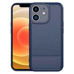 For iPhone 12 Carbon Fiber Series Fine Hole TPU Phone Case(Blue)