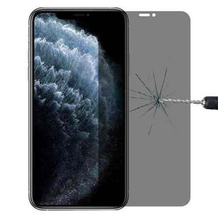 For iPhone 11 Pro Max / XS Max 9H 3D HD Anti-glare Fine Hole Full Screen Tempered Glass Film