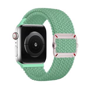 For Apple Watch 46mm / 49mm / 45mm / 44mm Double Loop Mechanical Buckle Nylon Braid Watch Band(Pistachio Green)