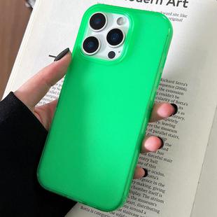 For iPhone 16 Pro Max Transparent Comfortable Frosted TPU Phone Case(Green)
