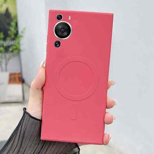 For Huawei P60 Solid Color Liquid Silicone MagSafe Magnetic Phone Case(Camellia Red)