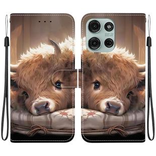 For Motorola Moto G75 5G Crystal Texture Colored Drawing Leather Phone Case(Calf)