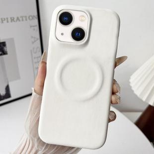 For iPhone 15 Skin Feel Sheepskin MagSafe Magnetic Phone Case(White)