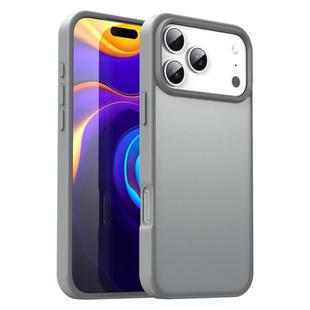 For iPhone 17 Pro Max Fanying Series PC Hybrid TPU Translucent Frosted Phone Case(Silver Grey)