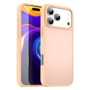 For iPhone 17 Pro Max Fanying Series PC Hybrid TPU Translucent Frosted Phone Case(Rouge Powder)