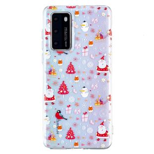 For Huawei P40 Pro Christmas Pattern TPU Protective Case(Snowman Bird)
