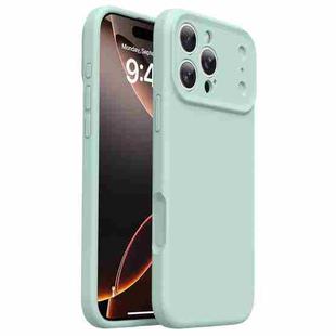 For iPhone 16 Pro Max Change to 17 Pro Series Liquid Silicone Phone Case(Mambo Green)