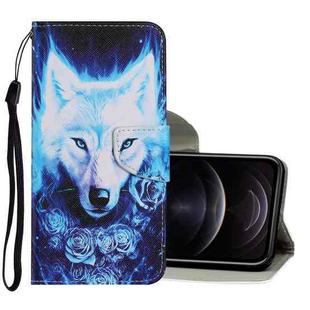 For iPhone 12 / 12 Pro Coloured Drawing Pattern Horizontal Flip PU Leather Case with Holder & Card Slots & Wallet & Lanyard(Rose Wolf)