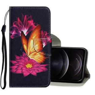 For iPhone 12 / 12 Pro Coloured Drawing Pattern Horizontal Flip PU Leather Case with Holder & Card Slots & Wallet & Lanyard(Big Golden Butterfly)