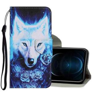 For iPhone 12 Pro Max Coloured Drawing Pattern Horizontal Flip PU Leather Case with Holder & Card Slots & Wallet & Lanyard(Rose Wolf)