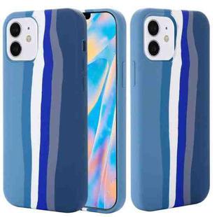 For iPhone 12 mini Rainbow Liquid Silicone Shockproof Full Coverage Protective Case  (Blue)