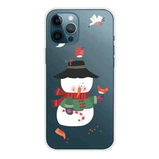 For iPhone 12 Pro Max Trendy Cute Christmas Patterned Case Clear TPU Cover Phone Cases(Birdie Snowman)