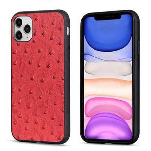 For iPhone 11 Pro Max Ostrich Texture Genuine Leather Protective Case (Red)