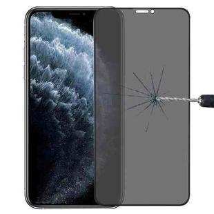 For iPhone XS Max Anti-peeping Plasma Oil Coated High Aluminum Wear-resistant Tempered Glass Film