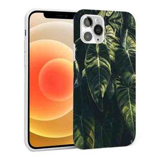 Glossy Plant Pattern TPU Protective Case For iPhone 12 mini(Banana Leaf)