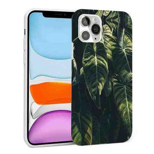 Glossy Plant Pattern TPU Protective Case For iPhone 11(Banana Leaf)