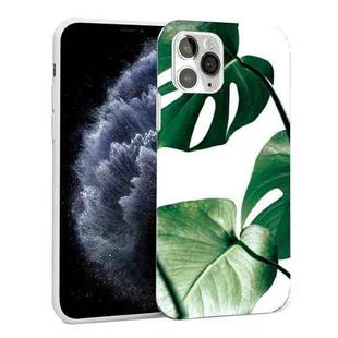 Glossy Plant Pattern TPU Protective Case For iPhone 11 Pro(Turtle Leaf)