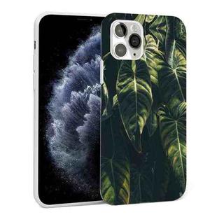 Glossy Plant Pattern TPU Protective Case For iPhone 11 Pro(Banana Leaf)