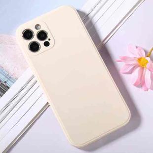 For iPhone 12 Pro Magic Cube Frosted Silicone Shockproof Full Coverage Protective Case(White)